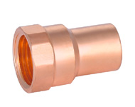 Female Straight Adaptor CxFPT