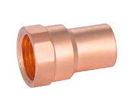 Female Straight Adaptor FTGxFPT