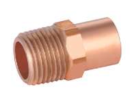 Male Straight Adaptor FTGxMPT