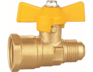 Gas Valve